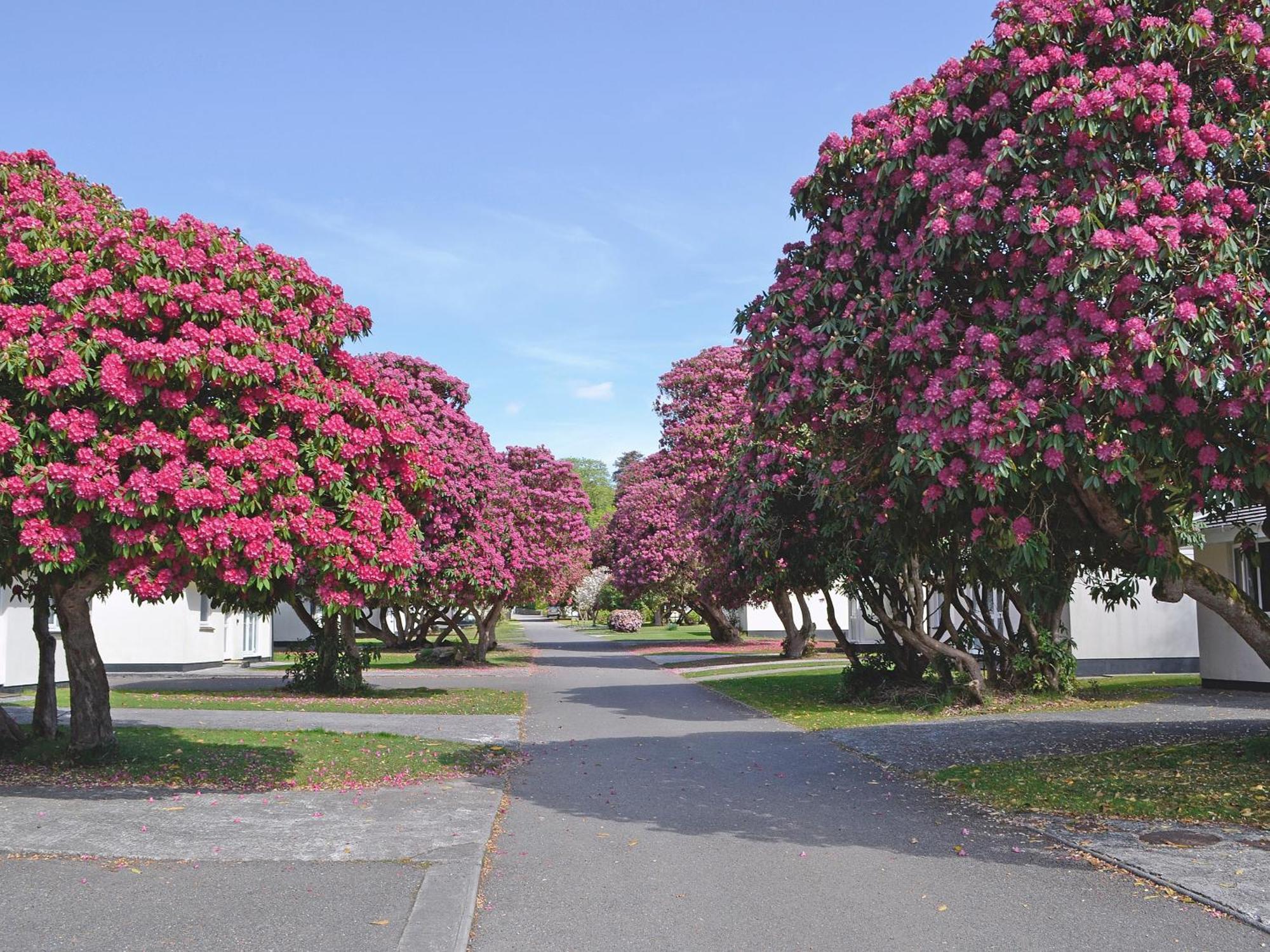Вилла Tresco - B6520 Saint Cleer Экстерьер фото